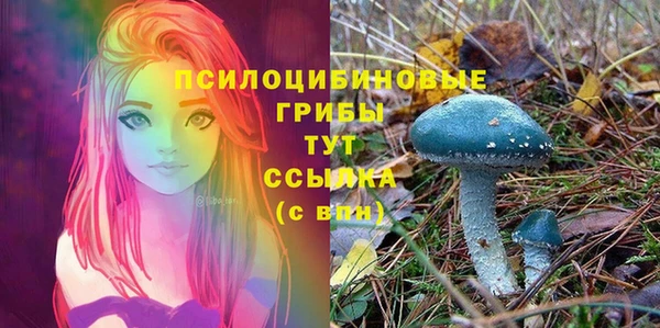 экстази Вяземский